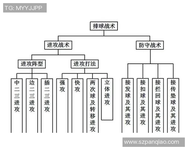 深入分析北京排球队快攻战术的特点与应用策略