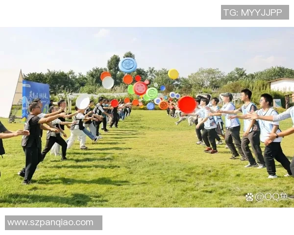 重庆飞盘队如何通过阵地战革新提升竞技水平与团队协作能力