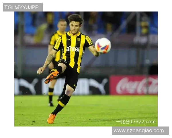 努涅斯在赛场上的崛起与挑战：一位新星的奋斗历程与未来展望